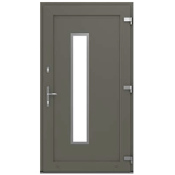 Gris Basalt Lisse- Porte...